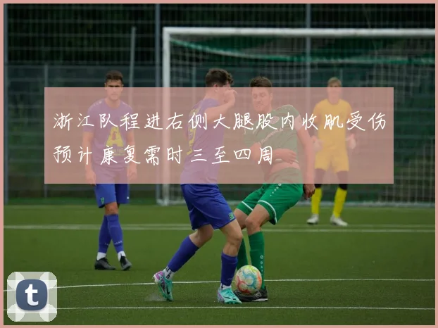 浙江队程进右侧大腿股内收肌受伤预计康复需时三至四周